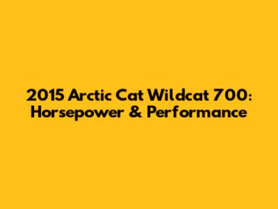 2015 Arctic Cat Wildcat 700: Horsepower & Performance