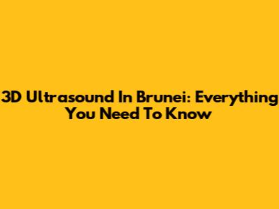 3D Ultrasound In Brunei: Everything You Need To Know