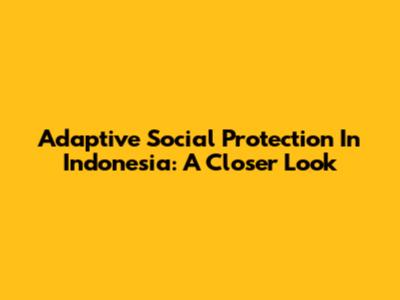 Adaptive Social Protection In Indonesia: A Closer Look