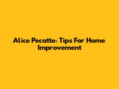 Alice Pecatte: Tips For Home Improvement