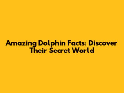 Amazing Dolphin Facts: Discover Their Secret World