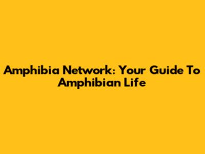 Amphibia Network: Your Guide To Amphibian Life