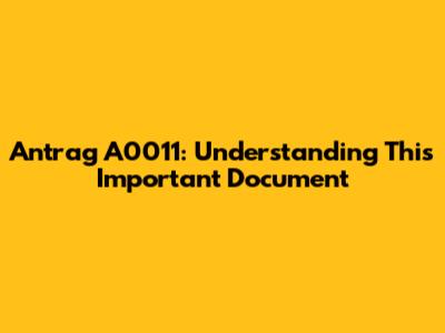 Antrag A0011: Understanding This Important Document