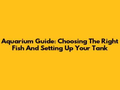 Aquarium Guide: Choosing The Right Fish And Setting Up Your Tank