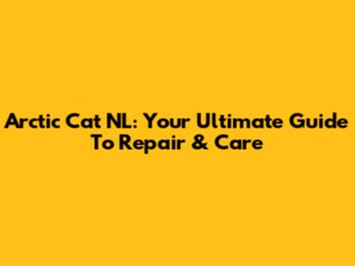 Arctic Cat NL: Your Ultimate Guide To Repair & Care