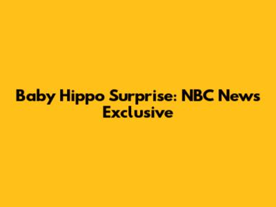 Baby Hippo Surprise: NBC News Exclusive