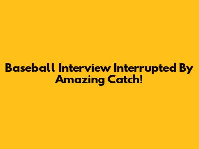Baseball Interview Interrupted By Amazing Catch!