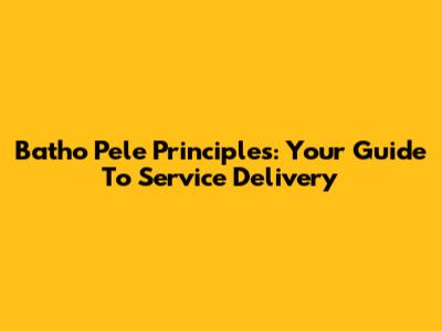 Batho Pele Principles: Your Guide To Service Delivery