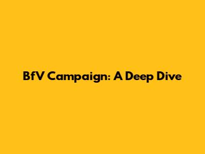 BfV Campaign: A Deep Dive