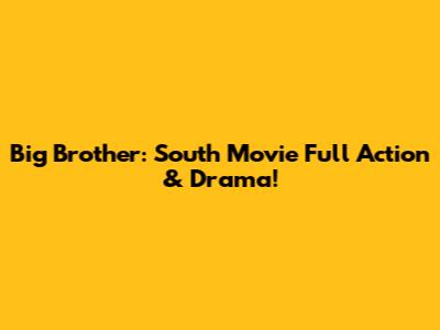 Big Brother: South Movie Full Action & Drama!