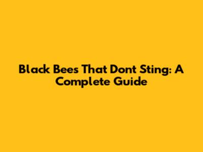 Black Bees That Don't Sting: A Complete Guide