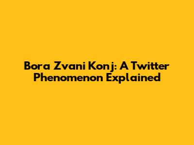 Bora Zvani Konj: A Twitter Phenomenon Explained