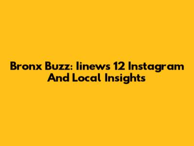 Bronx Buzz: Iinews 12 Instagram And Local Insights