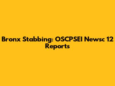 Bronx Stabbing: OSCPSEI Newsc 12 Reports
