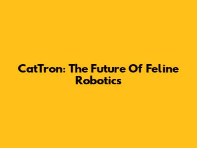 CatTron: The Future Of Feline Robotics