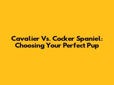 Cavalier Vs. Cocker Spaniel: Choosing Your Perfect Pup