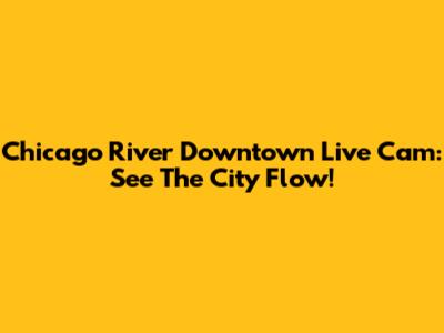 Chicago River Downtown Live Cam: See The City Flow!