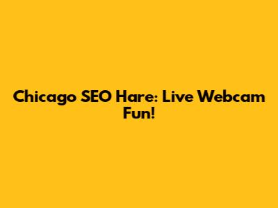 Chicago SEO Hare: Live Webcam Fun!