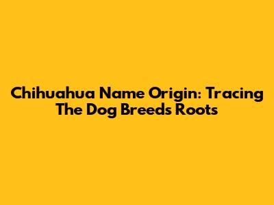 Chihuahua Name Origin: Tracing The Dog Breed's Roots