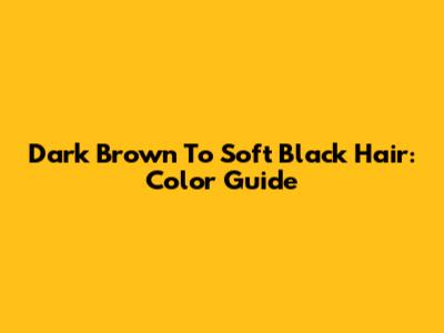 Dark Brown To Soft Black Hair: Color Guide