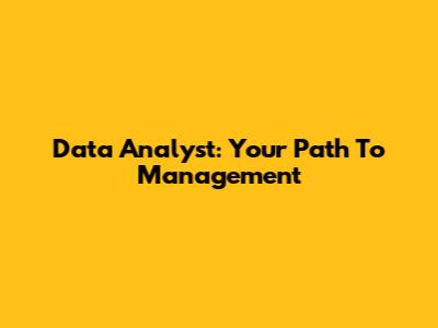 Data Analyst: Your Path To Management