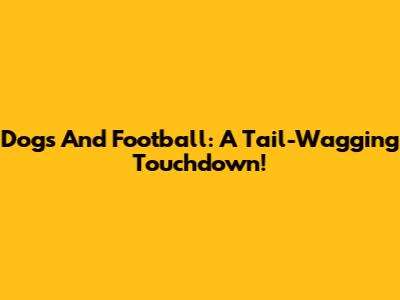 Dogs And Football: A Tail-Wagging Touchdown!