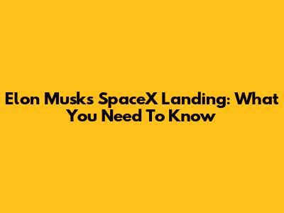 Elon Musk's SpaceX Landing: What You Need To Know