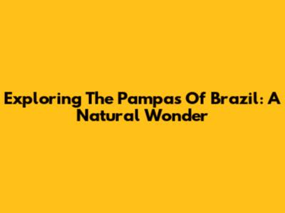 Exploring The Pampas Of Brazil: A Natural Wonder