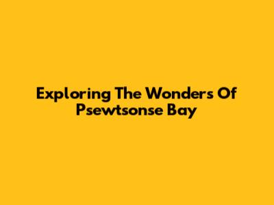 Exploring The Wonders Of Psewtsonse Bay