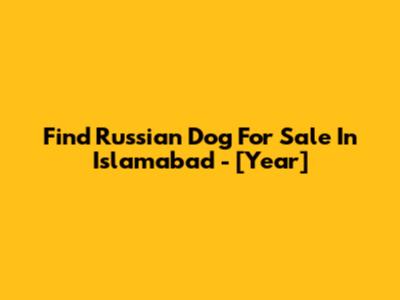 Find Russian Dog For Sale In Islamabad - [Year]