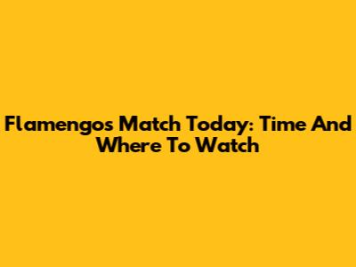 Flamengo's Match Today: Time And Where To Watch
