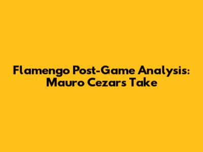 Flamengo Post-Game Analysis: Mauro Cezar's Take