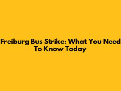 Freiburg Bus Strike: What You Need To Know Today
