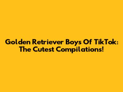 Golden Retriever Boys Of TikTok: The Cutest Compilations!