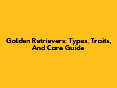 Golden Retrievers: Types, Traits, And Care Guide