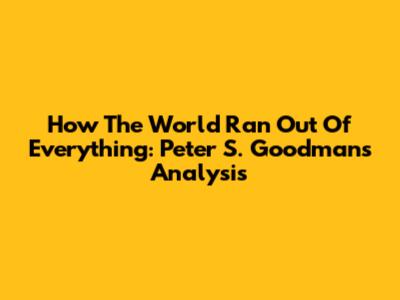 How The World Ran Out Of Everything: Peter S. Goodman's Analysis