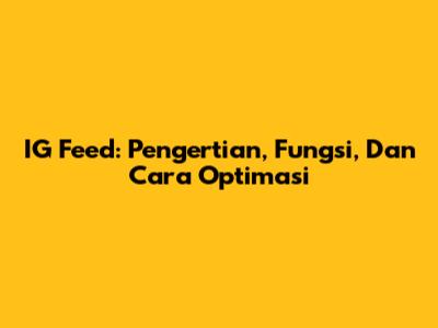 IG Feed: Pengertian, Fungsi, Dan Cara Optimasi