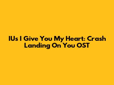 IU's 'I Give You My Heart': Crash Landing On You OST