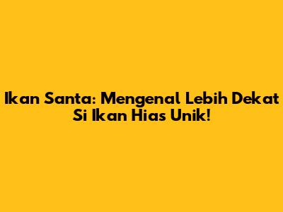 Ikan Santa: Mengenal Lebih Dekat Si Ikan Hias Unik!