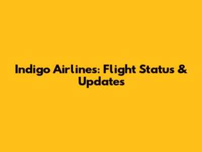 Indigo Airlines: Flight Status & Updates