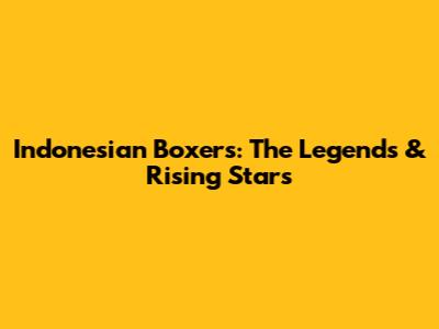 Indonesian Boxers: The Legends & Rising Stars