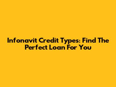 Infonavit Credit Types: Find The Perfect Loan For You