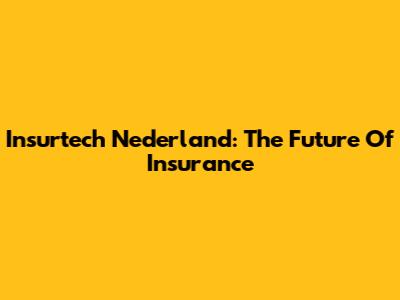 Insurtech Nederland: The Future Of Insurance