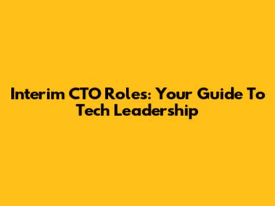 Interim CTO Roles: Your Guide To Tech Leadership
