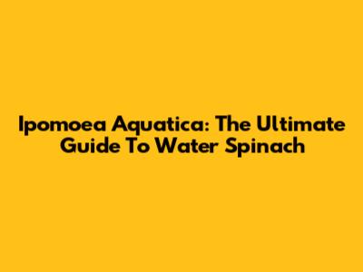 Ipomoea Aquatica: The Ultimate Guide To Water Spinach