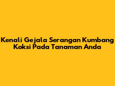 Kenali Gejala Serangan Kumbang Koksi Pada Tanaman Anda