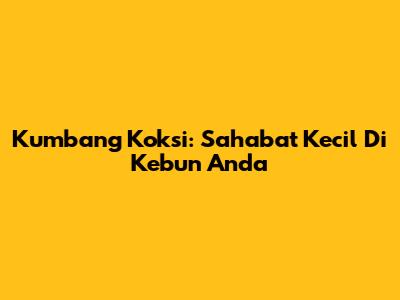 Kumbang Koksi: Sahabat Kecil Di Kebun Anda