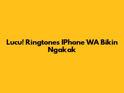 Lucu! Ringtones IPhone WA Bikin Ngakak