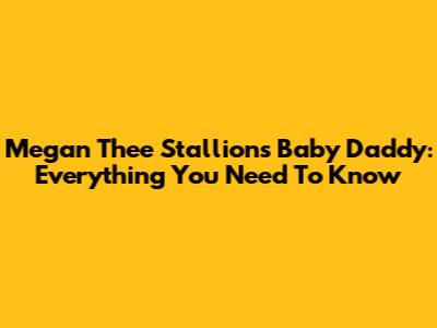 Megan Thee Stallion's Baby Daddy: Everything You Need To Know