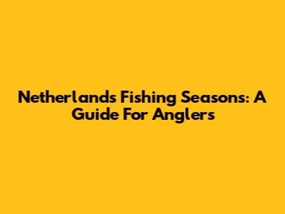 Netherlands Fishing Seasons: A Guide For Anglers